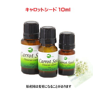 GbZVIC  A}ICLbgV[h 10ml