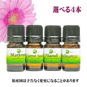 アロマオイル おすすめ アロマセットの人気商品 通販 価格比較 価格 Com