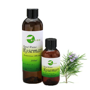 t[EH[^[ F[Y}[EH^[@100ml