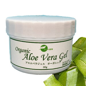 y艻ϕiޗ L AG WFzAGxWF I[KjbN@60g