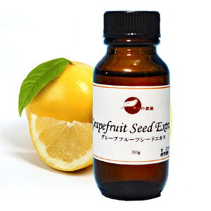 艻ϕiޗ _h~ GSEVgXV[hGNXgNgO[vt[cV[hGLX@30g