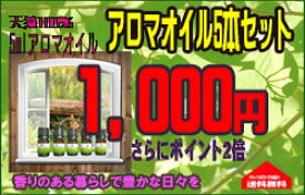 エッセンシャルオイル 精油 アロマオイル お試し セット アロマセット 人気 プレゼント ギフトシトロネラ、シナモンリーフ、ユーカリシトリオドラ、ライム、ローズマリー【 送料無料 】アロマオイル5本