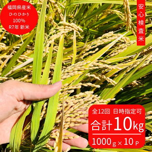 ߘa7NY݂ȂňĂVĂЂ̂Ђ100%(Pꌴ)yS12z^pbN(1000gl×10)S(Yn:s)y{Bz