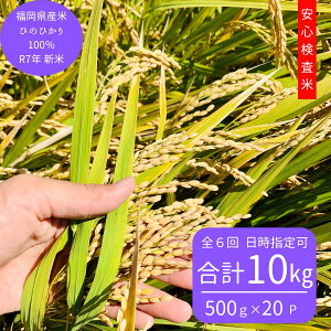 ߘa7NY݂ȂňĂVĂЂ̂Ђ100%(Pꌴ)yS6z^pbN(500gl×20)S(Yn:s)y{Bz