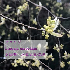 yz Iׂ ،nVO 1mlTCYba YA} Y Xї A}Zs[