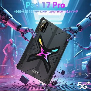 タブレット pc 本体 PAD 17 PRO Android15 10.1インチ キッズタブレット 16GB+1TB おすすめ 軽量 Wi-Fi 5G モデル GPS Bluetooth 通話対応 IPS液晶 大画面 軽量 在宅勤務 ネット 子供 安い 高性能 誕生日祝い