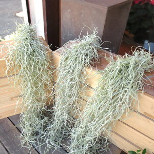 yz3ZbgłGA[vcu`WAEEXlICfXv3ZbgyOԁzyCeA/k/G//GAvc/v[g/Mtg/eBWA/~j