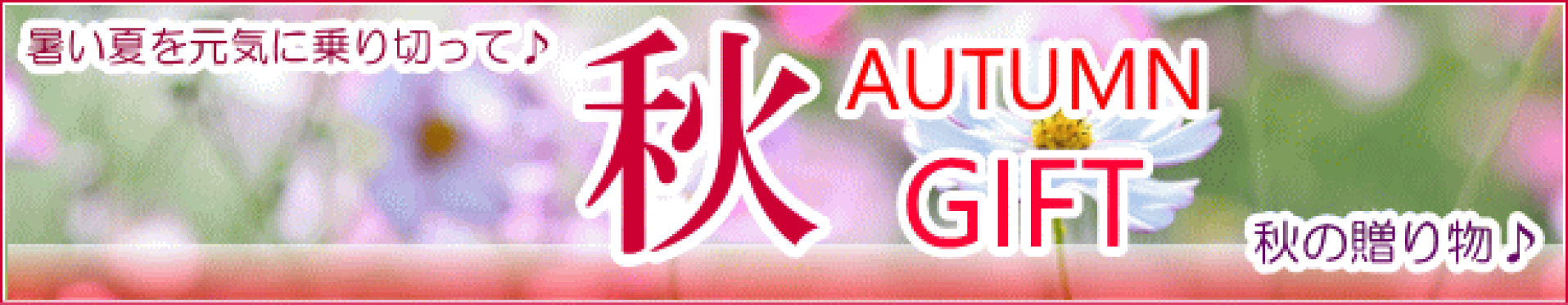 秋ギフト特集