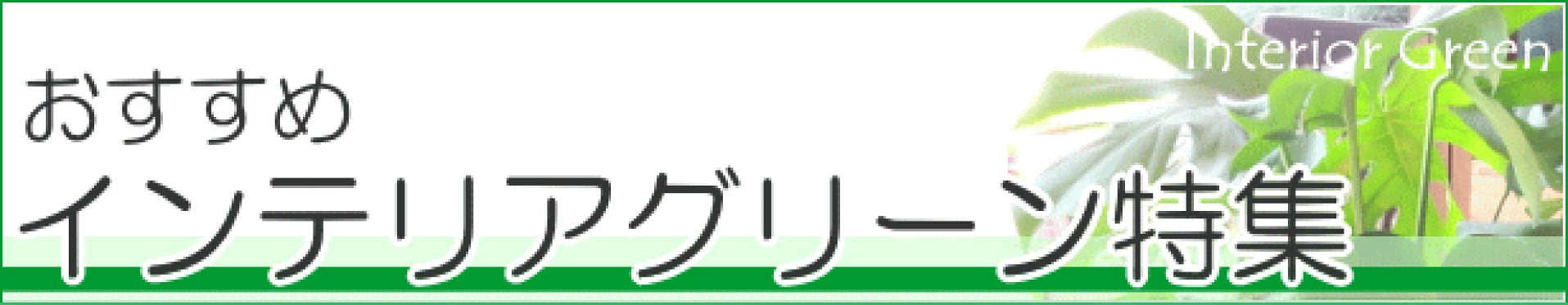 インテリアグリーン特集