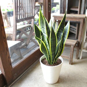 TXxA [eB[ 7TCY F ZA[g A TZxA [`[ gmI  O ϗtA  CeAO[ ^ ^