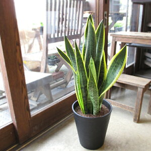 TXxA [eB[ 7TCY F ZA[g A TZxA [`[ gmI  O ϗtA  CeAO[ ^ ^