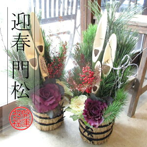 叼 60cm V VRf 1΃Zbg  O }t Ε  NNn NzW  ̔  0.6m 6TCY 