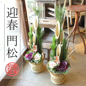 玄関 花 寄せ植えの人気商品 通販 価格比較 価格 Com 玄関 花 寄せ植えの人気商品 通販 価格比較 価格 Com