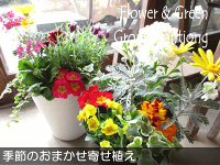 季節のおまかせ寄せ植えセラアート鉢植え7号鉢サイズ鉢色選べるホワイトブラック