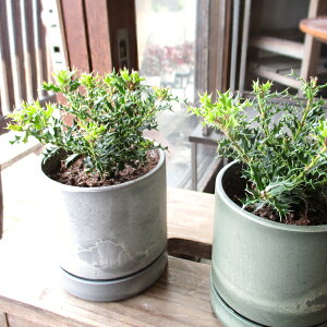 PqCM FIׂ VhJ|bg 3.5TCY A ̖ ̖ qqCM PA A}~qCM ~jϗt  O  ϗtA  CeA