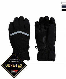 Phenix フェニックス Space Hunter Gloves ACC ゴアテックス スキーウェア スキーグローブ 手袋【WOMEN】