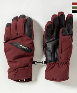 phenix フェニックス Snow Design Panel Mens Gloves スノーデザインパネルメンズグローブ スノーグローブ スキーウェア 手袋 5本指【MEN】