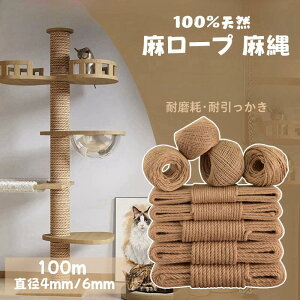 yTɂ5%OFFz[v  VR@ W[g 4mm 6mm 100m R  DIY | ב |  Lbg^[̕Cp  ܂Ƃp L^[ Ђ