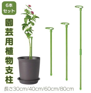 6{Zbg Ax Ԃ |x 鐫A ϗtx U x AT|[g t[X^h t[x Ԏx K[fjO _Ɨp |p ؗp ϏܐAp ƒ؉ ƒ