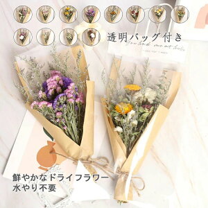 hCt[ u[P \ ԑ hV̓ ݑ ̓  X^[`X u[P ԍ o XC[c `RȊO vU[uht[u[P av[g [J o 