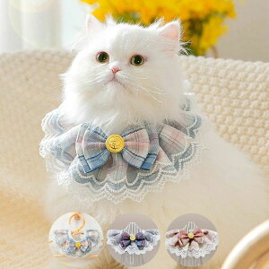  Lp p [X `FbN  ^ ^ ^  L  L̎ ˂ lR т Lp ̎ ybgp  lR pi Lpi y u