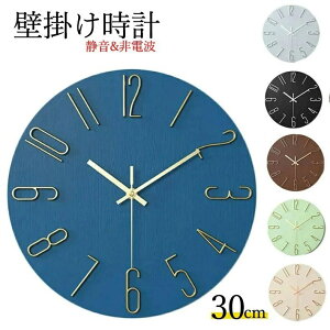 Ǌ|v |v Ǌ|  É dg v ؖڒ ₷  ی^ Q rO _CjO G CeA k _ v[g Mtg 蕨 a30cm dr EH