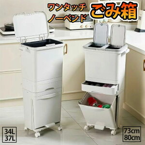 S~ ӂt ʃS~ 2i 3i ^ ʃS~  X Lb`  y_ vbV 34L 37L ݔ Ԏ[ Lb` c^ LX^[t J ЊJ 73cm 80cm 2025 