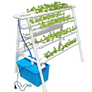 k͔|Lbg ͔|Lbg   ͔|Lbg  ƒ؉ k͔|Zbg v^[72 (72 )