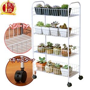 t[bN O v^[bN K[fbN 2i v^[X^h   LX^[t X`[ LX^[ O 4i v^[bN 3i Aؔ |bN ԑ 