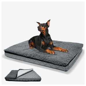 łjȂpxbhA xbh 􂦂 ʋCAAhAϊ jȂ v 匢pxbhAOJo[ 