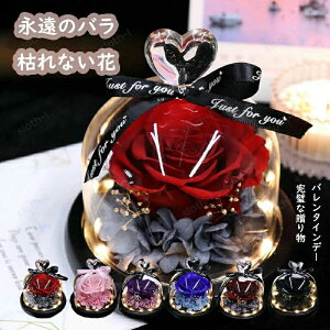 �n�[�g�̃K���X�J�o�[ �v���U�[�u�h�t�����[ LED���C�g�t�� �I�ׂ�6�� �p���b�g �o�� �a���� �v���[���g �o�����^�C�� ���� �� �c�� ���F�B ������� ���a���� �����j�� �����L�O�� ���ʉ� ��