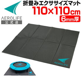 【公式店】 トランポリンマット 厚さ6mm 厚手 衝撃吸収 トレーニングマット 振動 軽減 ストレッチ 運動器具 トランポリン 体幹トレーニング ヨガ ダイエット 筋トレ 幅広 マット DR-0600 110x1100x0.6cm