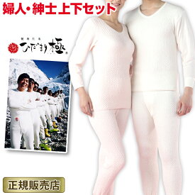 ひだまり 極 上下セット 防寒インナー 肌着 あったかインナー 防寒肌着 M L LL メンズ レディース 男性用 女性用 保温肌着 防寒対策 日本製 登山 釣り アウトドア ダンロン ラッピング ひだまり極