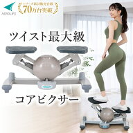 【公式店】 ステッパー 静音 ツイストステッパー くびれ ウエスト ダイエット 有酸素運動 静音 下半身 ひ…