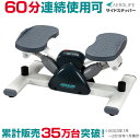 【500円OFFクーポン】ステッパー ダイエット 器具/エアロライフ サイドステッパー/有酸素運動/ステッパー ダイエット 器具/踏み台昇降 健康 器具 ステッ...