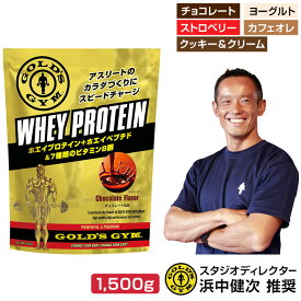 プロテイン 1500g ゴールドジム ホエイプロテイン 1.5kg 高たんぱく 低脂肪 WPI ホエイ BCAA ホエイペプチド ビタミンB群 体作り 筋トレ ダイエット ボディメイク チョコ ヨーグルト ストロベリー カフェオレ クッキー&クリーム