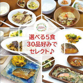 冷凍弁当 自由に選べる5食セット 【からだデリ 味の富士山】 一日の1/3の野菜がとれる 国立病院機構の管理栄養士が監修 宅配 惣菜 副菜 健康弁当