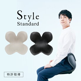 ラッピング即日出荷可能 スタイルスタンダード N01 ウォームグレー Style Standard N01 4573176153635 姿勢ケア 姿勢矯正 美姿勢 ギフト YS-AQ14A MTG正規品