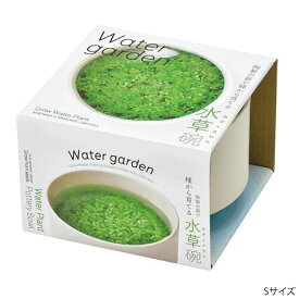栽培セット 水草碗 S 日本製 4528757040408 アクアリウム