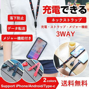 ネックストラップ 充電ケーブル ストラップ iphone type-C ロング ハンド ケース スマホ usb 落下防止 急速充電 データ転送 メジャー 平ヒモ 疲れにくい 旅行 仕事 ビジネス キーホルダー 可愛い
