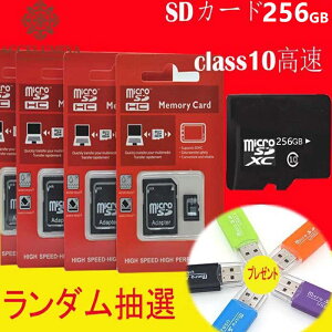 [DBH]}CNSDJ[h 256GB microSDJ[h ϊA_v^t class10 }CNSDXCJ[h NX10 microSDXCJ[h