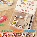 お名前スタンプ ねいみー ドリームセット ひらがな 漢字 布 アイロン不要 算数セット 名前スタンプ なまえスタンプ 保…