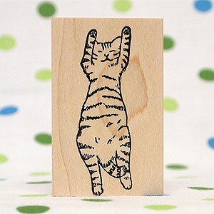 ac^Rq o[X^v g˂(̂) c63mm×21mm (0006F-6540)