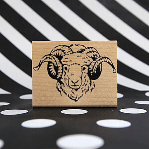 Ԃ o[X^v r c37mm×52mm (0074E-4355)