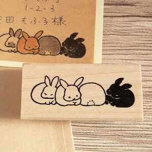 ac^Rq o[X^v \ c13.6mm×47.3mm (0160A-2655)