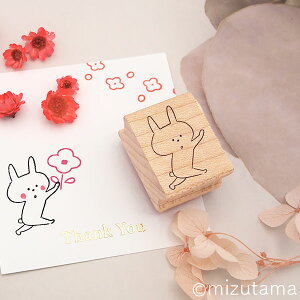 mizutama X^v ǂԂV[Y