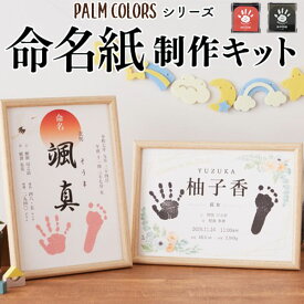 命名紙制作キット PALM COLORS パームカラーズ シヤチハタ 手形 足形 誕生日 記念