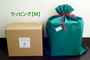 bsOZbgyMzv[gpbsO@vTCYi6j܂Ł@a@oYj@NX}X@v[g@Mtg