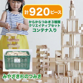 からからつみき3種類CS(920p)コンテナ入 (名入れラベル無料) 知育玩具 卒園記念品 保護者会 保育園 寄贈 遊具 寄贈品 木製 つみき ウッドデザイン賞 国産材 日本製 STEAM 環境負荷低減 SDGs 幼児 学童保育 幼稚園 保育施設 木育 放課後デイ 室内遊び