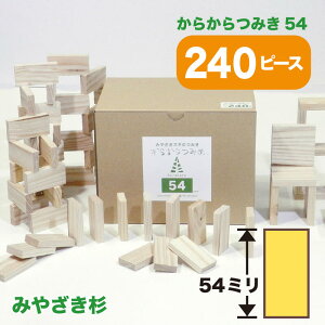 炩݂54(240) ςݖ  mߋ ςݖ ݂ oYj  w v[g Mtg { {茧Y ؂̂ a 炩݂yVsX  STEAM 